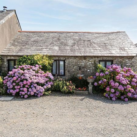 Coach House Cottage Bude Zewnętrze zdjęcie